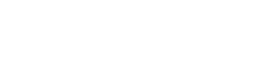 Spine in Germany Logo
