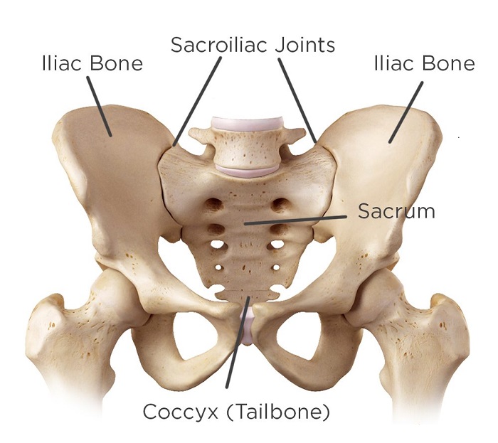 Skulle Ydeevne Foran dig Sacroiliac (SI) Joint Dysfunction Causes, Symptoms & Treatments